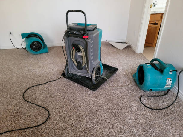 Best Water damage contractors near me  in Ellisville, MS