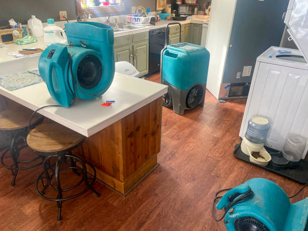 Best 24/7 water damage repair  in Ellisville, MS