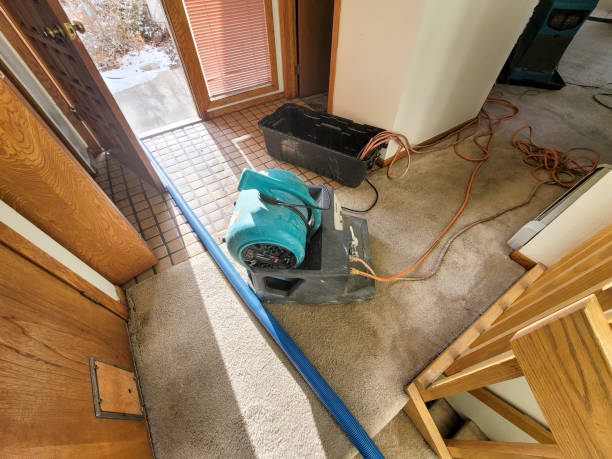 Best Carpet water damage restoration  in Ellisville, MS