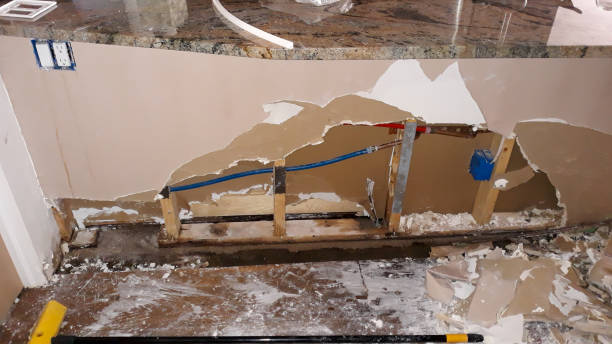 Best Water damage contractors near me  in Ellisville, MS