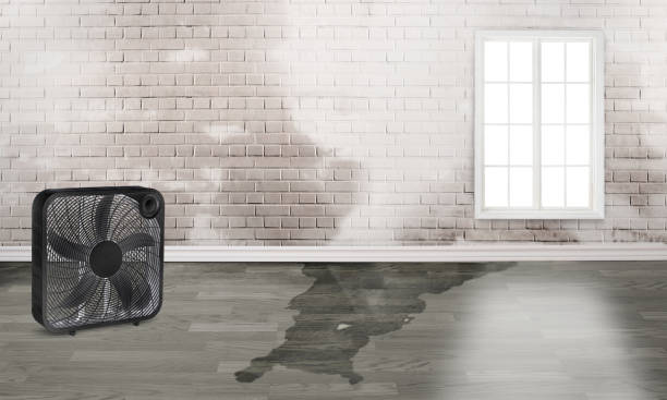 Reliable Ellisville, MS Water damage restoration Solutions