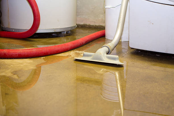  Ellisville, MS Water damage restoration Pros