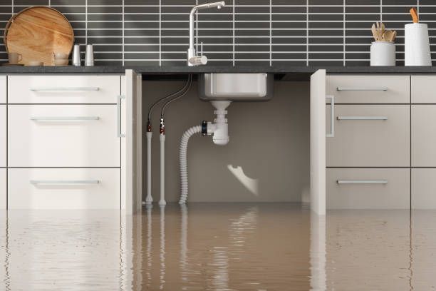 Best Flood restoration services  in Ellisville, MS