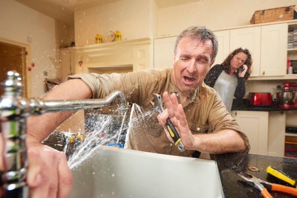 Best Flood damage cleanup  in Ellisville, MS